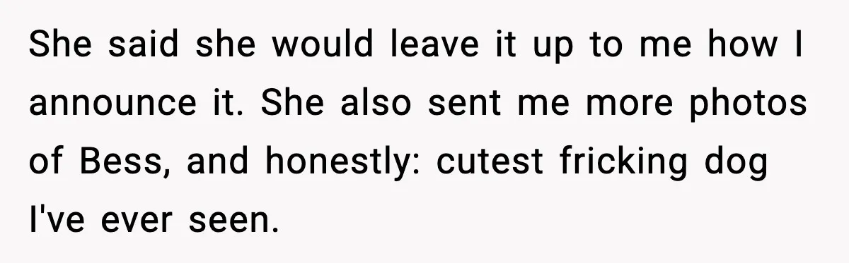 She said she would leave it up to me how I announce it. She also sent me more photos of Bess, and honestly: cutest fricking dog I've ever seen.