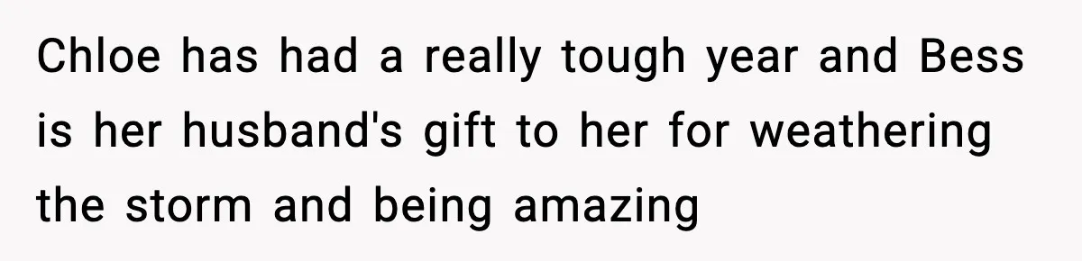 Chloe has had a really tough year and Bess is her husband's gift to her for weathering the storm and being amazing