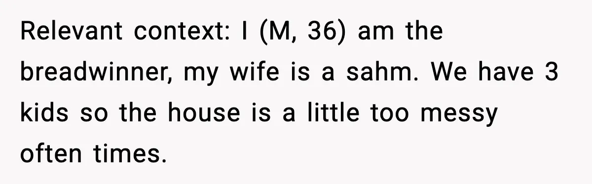 Relevant context: I (M, 36) am the breadwinner, my wife is a sahm. We have 3 kids so the house is a little too messy often times.