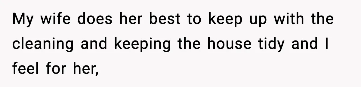 My wife does her best to keep up with the cleaning and keeping the house tidy and I feel for her,