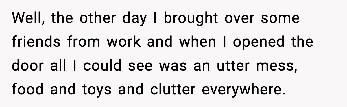 Well, the other day I brought over some friends from work and when I opened the door all I could see was an utter mess, food and toys and clutter...