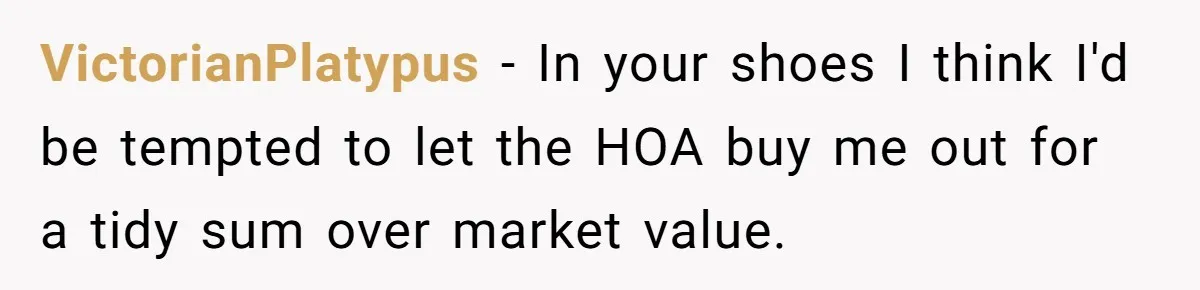 VictorianPlatypus − In your shoes I think I'd be tempted to let the HOA buy me out for a tidy sum over market value.