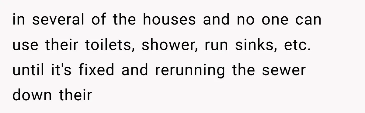 in several of the houses and no one can use their toilets, shower, run sinks, etc. until it's fixed and rerunning the sewer down their