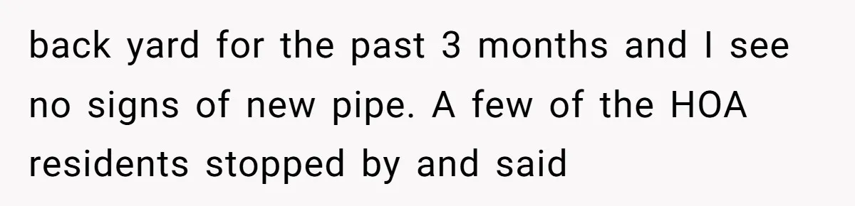 back yard for the past 3 months and I see no signs of new pipe. A few of the HOA residents stopped by and said