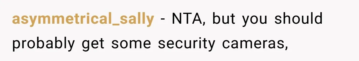 asymmetrical_sally − NTA, but you should probably get some security cameras,