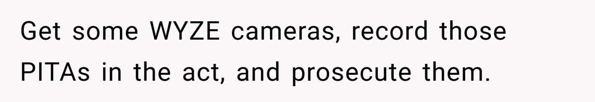 Get some WYZE cameras, record those PITAs in the act, and prosecute them.