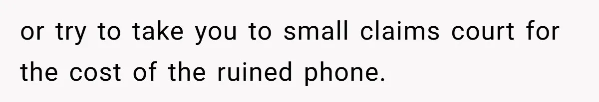 or try to take you to small claims court for the cost of the ruined phone.