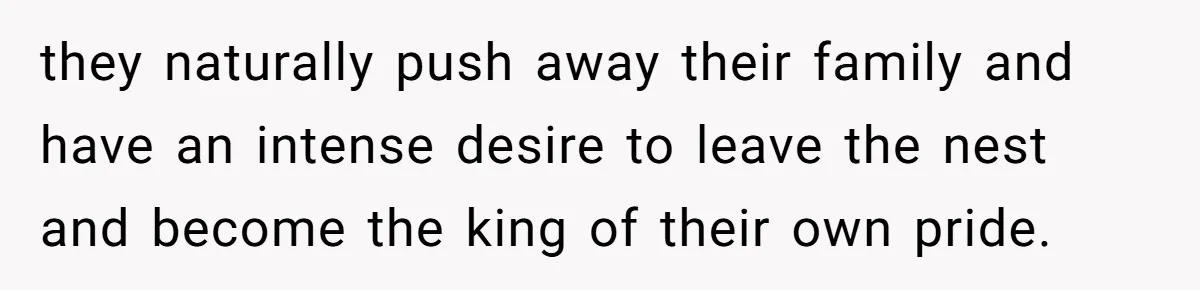 they naturally push away their family and have an intense desire to leave the nest and become the king of their own pride.