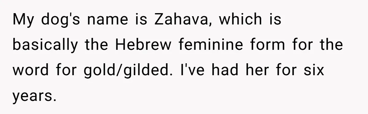 My dog's name is Zahava, which is basically the Hebrew feminine form for the word for gold/gilded. I've had her for six years.