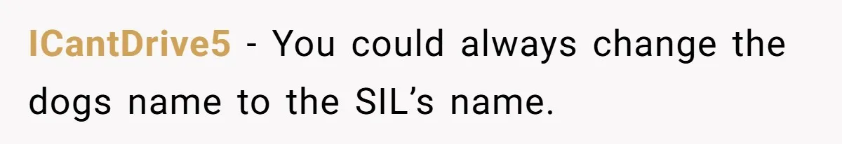 ICantDrive5 − You could always change the dogs name to the SIL’s name.