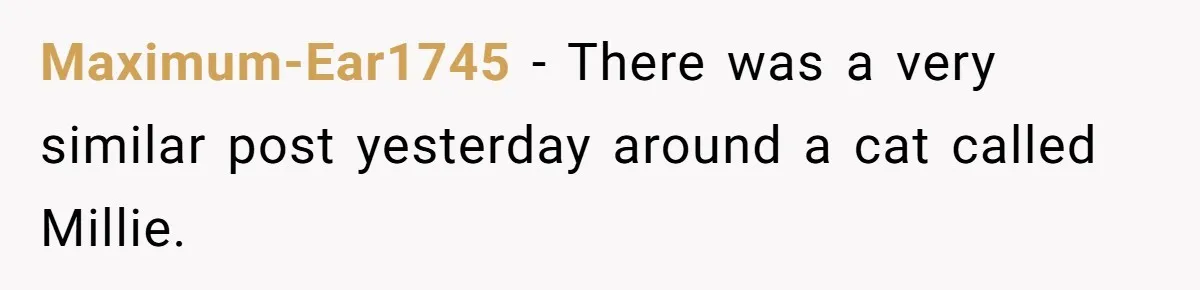 Maximum-Ear1745 − There was a very similar post yesterday around a cat called Millie.