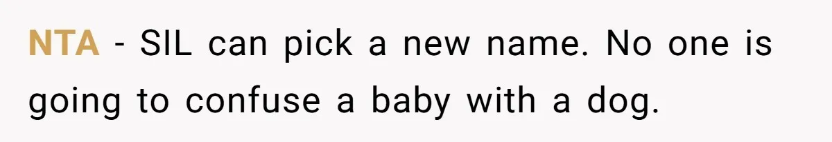 NTA - SIL can pick a new name. No one is going to confuse a baby with a dog.