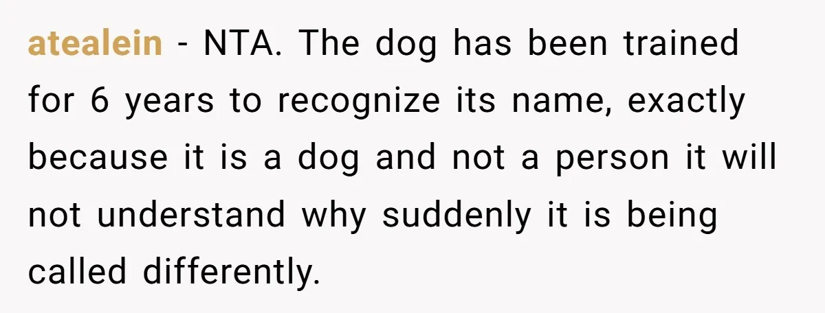 atealein − NTA. The dog has been trained for 6 years to recognize its name, exactly because it is a dog and not a person it will not understand why...