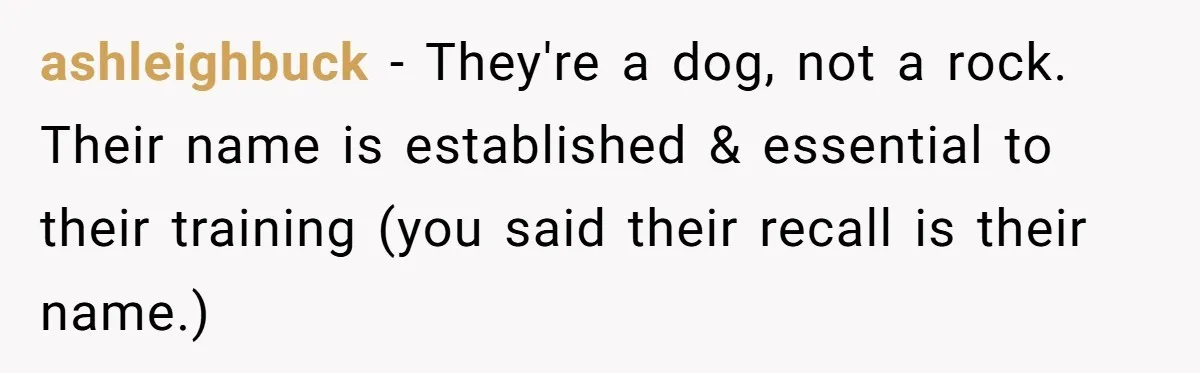 ashleighbuck − They're a dog, not a rock. Their name is established & essential to their training (you said their recall is their name.)