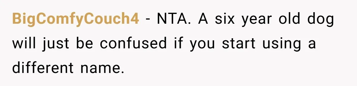 BigComfyCouch4 − NTA. A six year old dog will just be confused if you start using a different name.