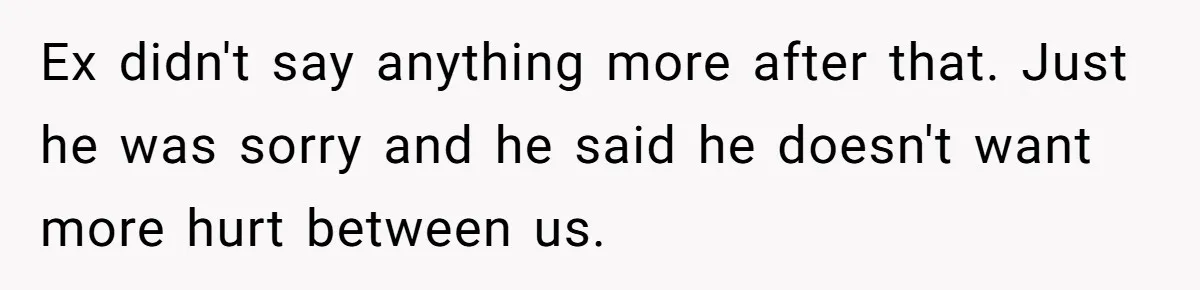 Ex didn't say anything more after that. Just he was sorry and he said he doesn't want more hurt between us.