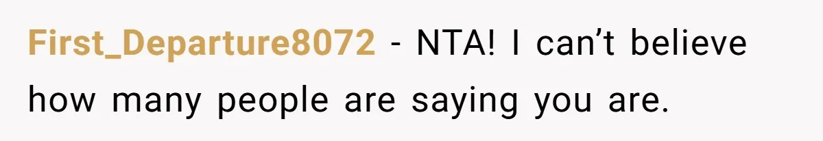 First_Departure8072 − NTA! I can’t believe how many people are saying you are.