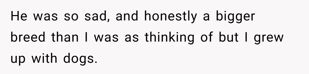 He was so sad, and honestly a bigger breed than I was as thinking of but I grew up with dogs.