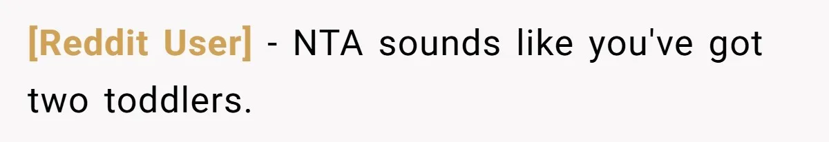 [Reddit User] − NTA sounds like you've got two toddlers.