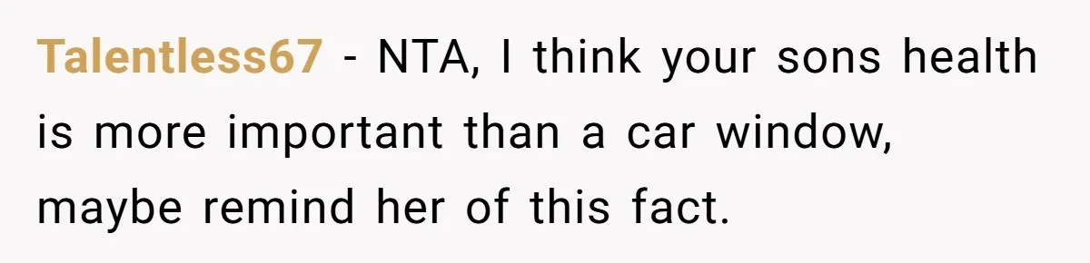 Talentless67 − NTA, I think your sons health is more important than a car window, maybe remind her of this fact.