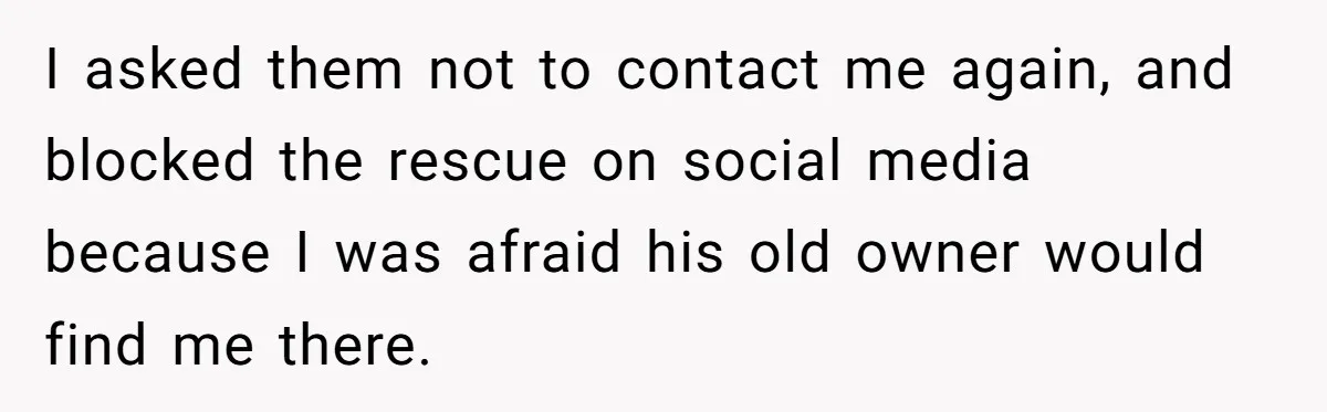 I asked them not to contact me again, and blocked the rescue on social media because I was afraid his old owner would find me there.