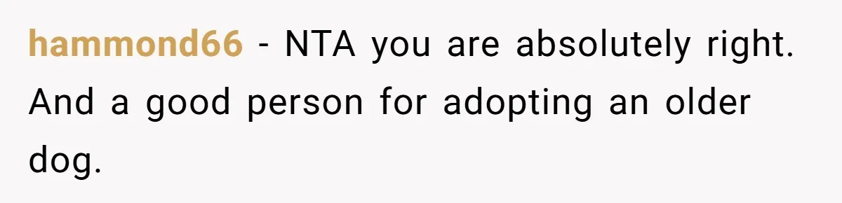 hammond66 − NTA you are absolutely right. And a good person for adopting an older dog.