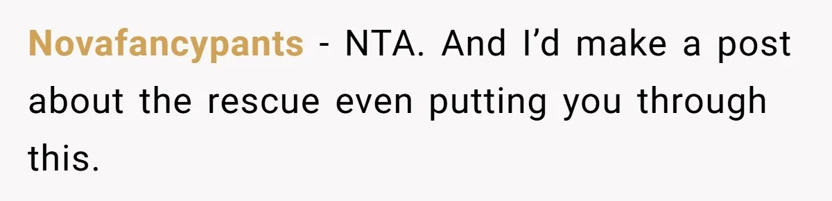 Novafancypants − NTA. And I’d make a post about the rescue even putting you through this.