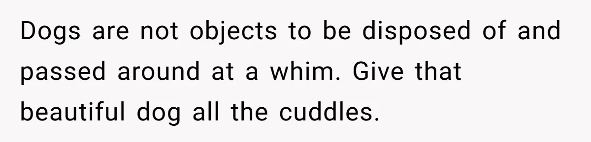 Dogs are not objects to be disposed of and passed around at a whim. Give that beautiful dog all the cuddles.
