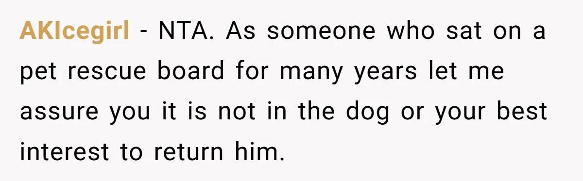 AKIcegirl − NTA. As someone who sat on a pet rescue board for many years let me assure you it is not in the dog or your best interest to...