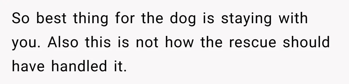 So best thing for the dog is staying with you. Also this is not how the rescue should have handled it.
