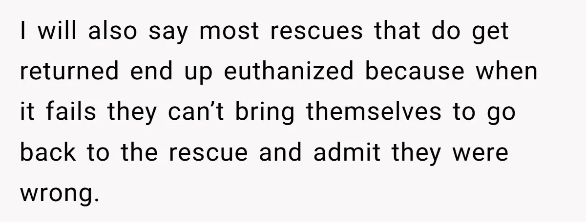 I will also say most rescues that do get returned end up euthanized because when it fails they can’t bring themselves to go back to the rescue and admit they...
