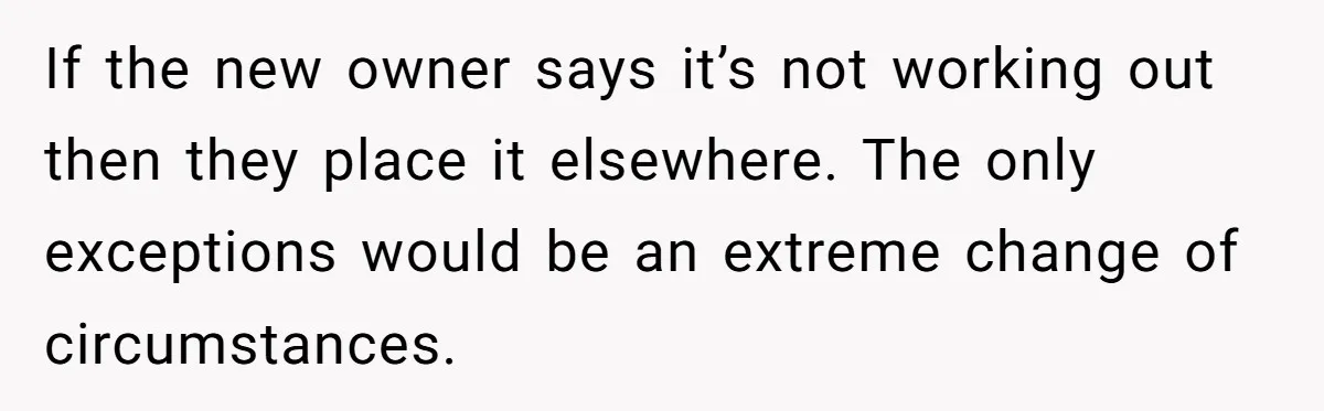 If the new owner says it’s not working out then they place it elsewhere. The only exceptions would be an extreme change of circumstances.