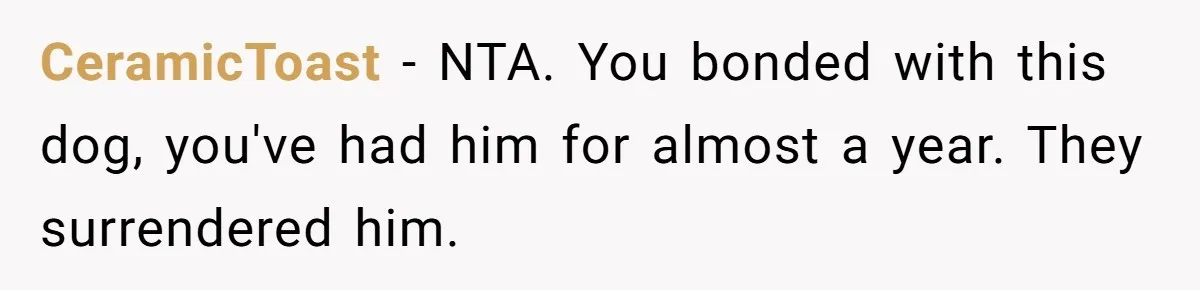 CeramicToast − NTA. You bonded with this dog, you've had him for almost a year. They surrendered him.