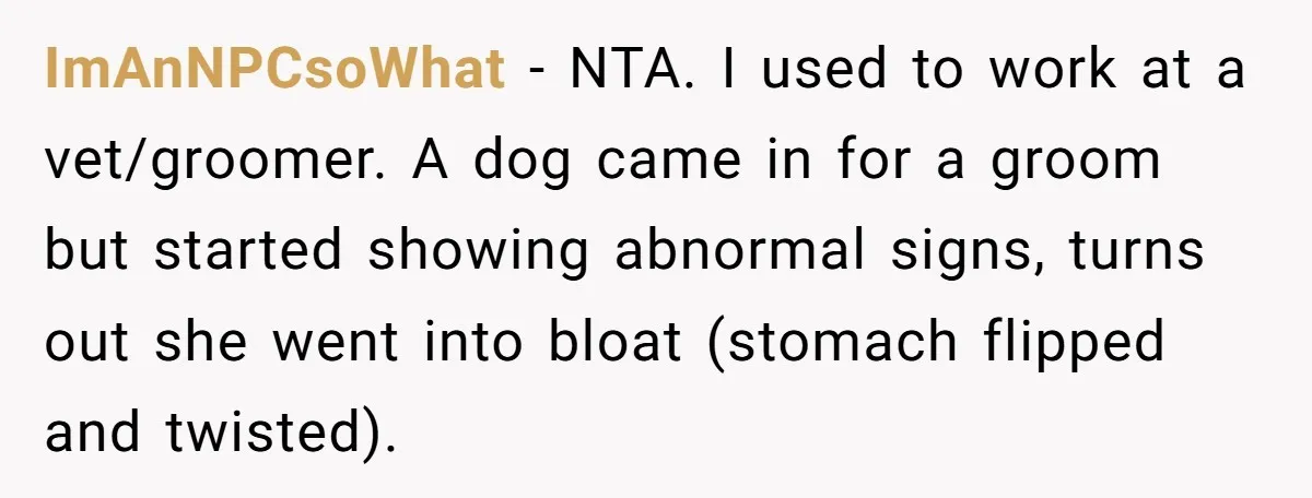 ImAnNPCsoWhat − NTA. I used to work at a vet/groomer. A dog came in for a groom but started showing abnormal signs, turns out she went into bloat (stomach flipped...