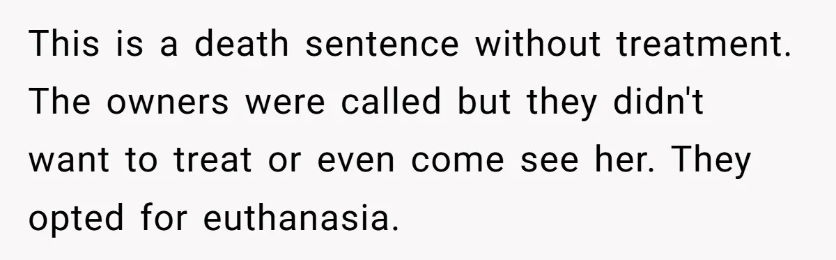 This is a death sentence without treatment. The owners were called but they didn't want to treat or even come see her. They opted for euthanasia.