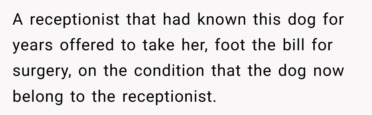 A receptionist that had known this dog for years offered to take her, foot the bill for surgery, on the condition that the dog now belong to the receptionist.
