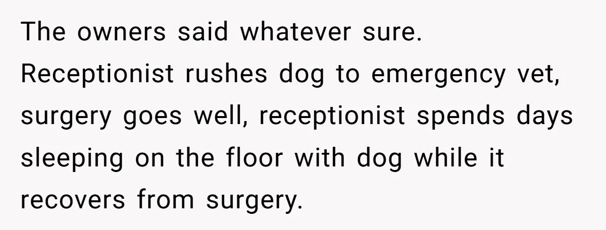 The owners said whatever sure. Receptionist rushes dog to emergency vet, surgery goes well, receptionist spends days sleeping on the floor with dog while it recovers from surgery.