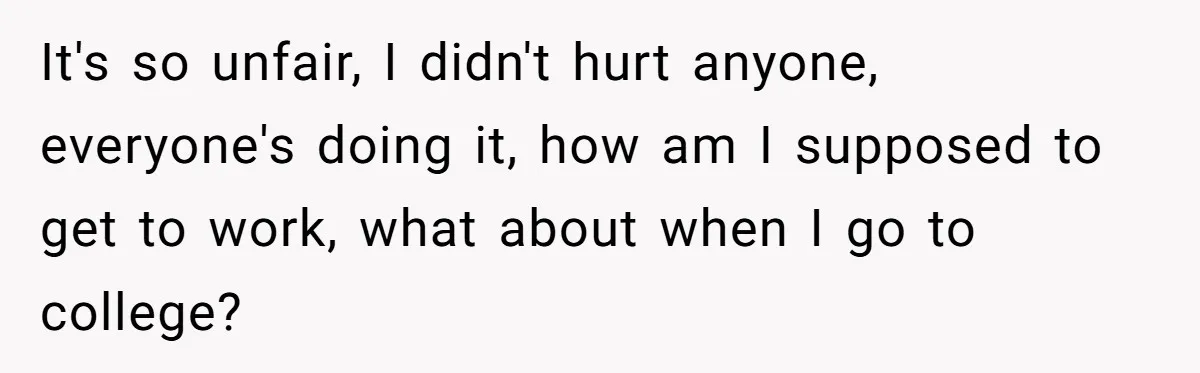 It's so unfair, I didn't hurt anyone, everyone's doing it, how am I supposed to get to work, what about when I go to college?