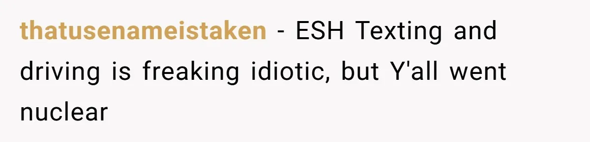 thatusenameistaken − ESH Texting and driving is freaking idiotic, but Y'all went nuclear