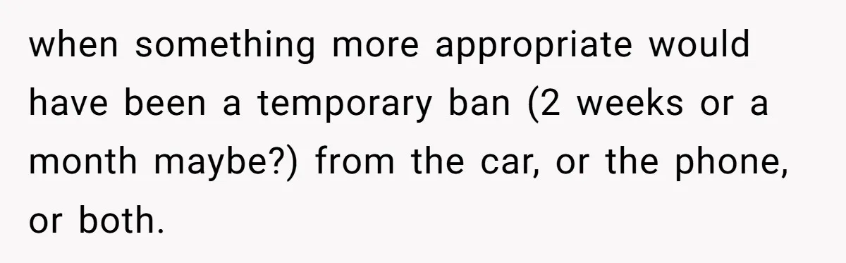 when something more appropriate would have been a temporary ban (2 weeks or a month maybe?) from the car, or the phone, or both.