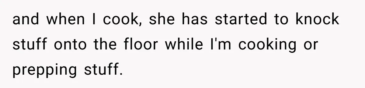 and when I cook, she has started to knock stuff onto the floor while I'm cooking or prepping stuff.