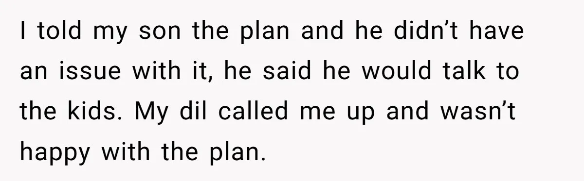 I told my son the plan and he didn’t have an issue with it, he said he would talk to the kids. My dil called me up and wasn’t happy...