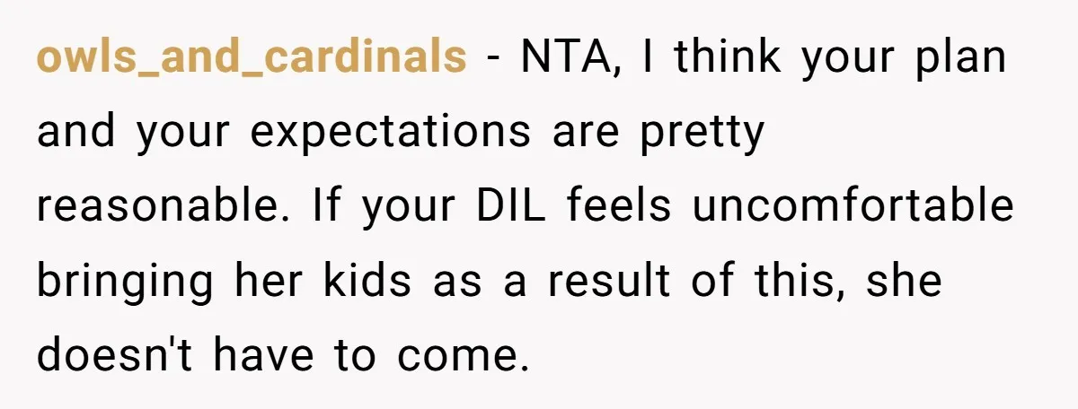 owls_and_cardinals − NTA, I think your plan and your expectations are pretty reasonable. If your DIL feels uncomfortable bringing her kids as a result of this, she doesn't have to...