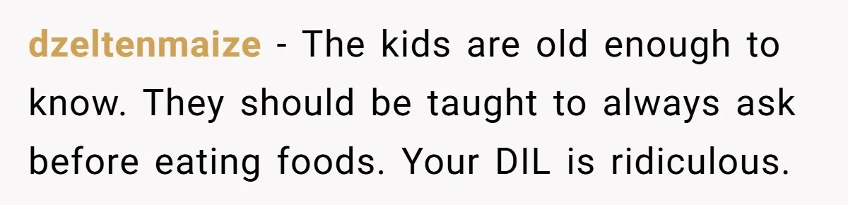 dzeltenmaize − The kids are old enough to know. They should be taught to always ask before eating foods. Your DIL is ridiculous.