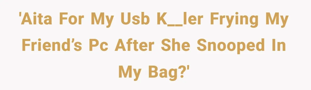 'AITA for my USB k__ler frying my friend’s PC after she snooped in my bag?'