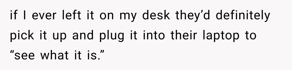 if I ever left it on my desk they’d definitely pick it up and plug it into their laptop to “see what it is.”