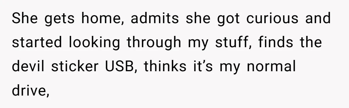 She gets home, admits she got curious and started looking through my stuff, finds the devil sticker USB, thinks it’s my normal drive,