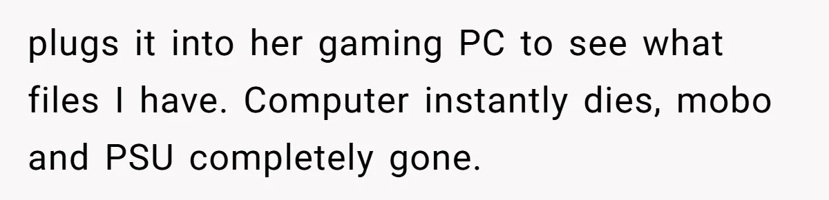plugs it into her gaming PC to see what files I have. Computer instantly dies, mobo and PSU completely gone.