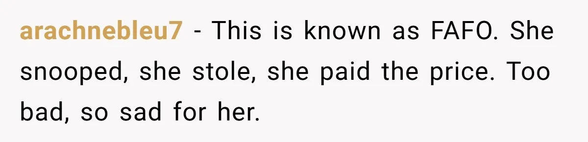 arachnebleu7 − This is known as FAFO. She snooped, she stole, she paid the price. Too bad, so sad for her.