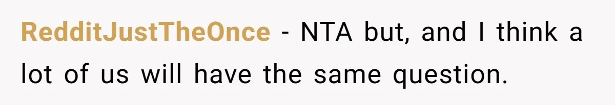 RedditJustTheOnce − NTA but, and I think a lot of us will have the same question.